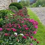 Apart Otel Rural Atxurra