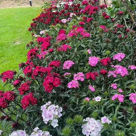 Rural Atxurra Bermeo