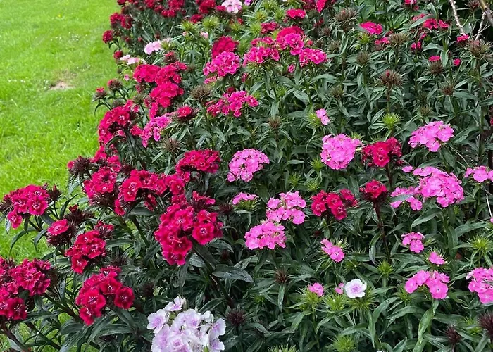 Rural Atxurra Bermeo