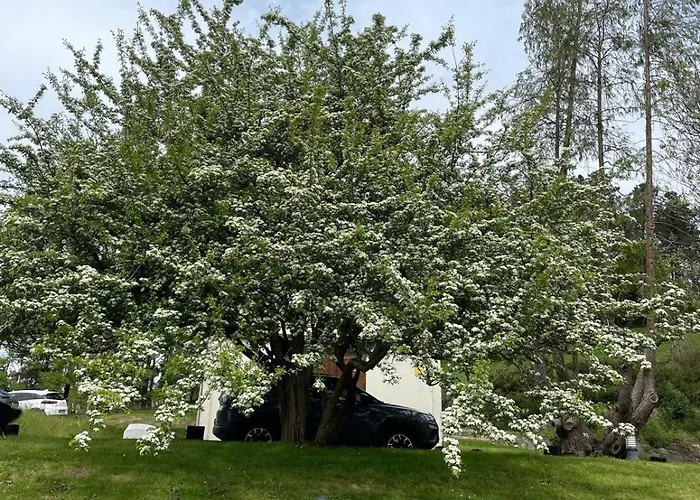 Rural Atxurra Aparthotel
