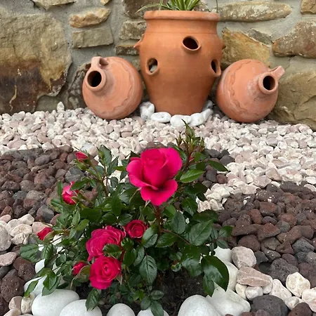 Rural Atxurra Aparthotel 3*